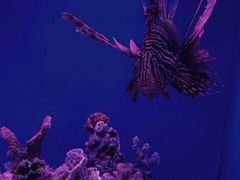 -石家庄极地海洋世界