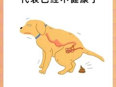 -瑞派天使宠物医院·神经外科·骨科·核磁CT(洛川中路店)
