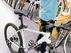 -GIANT捷安特自行车专卖店(金桥台儿庄路店)