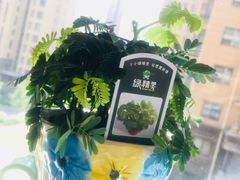 -秦美花卉(天朗·莱茵小城2期店)