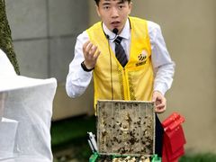 -宁波九龙湖开元度假村