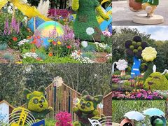 -上海共青森林公园