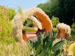 -深圳仙湖植物园