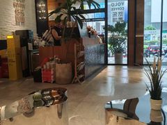 -YOLO COFFEE悠乐咖啡