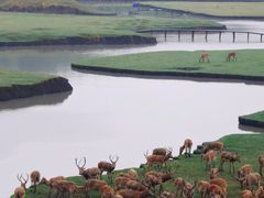 -溱湖国家湿地公园