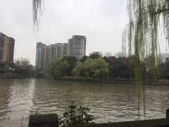 -运河游船(武林门码头)