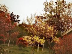 -贮水山儿童公园
