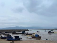 -北岐滩涂