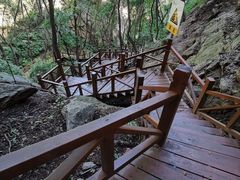 -大岭沟猕猴桃谷风景区