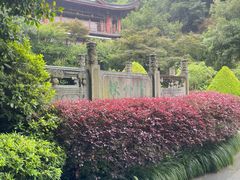 -十八棵（老龙井）御茶园(老龙井店)