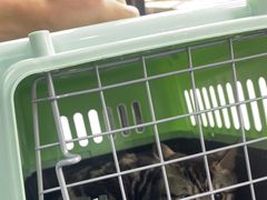 -博特宠物医院24h犬猫全科.骨科·异宠