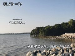 -宝安西湾红树林湿地公园