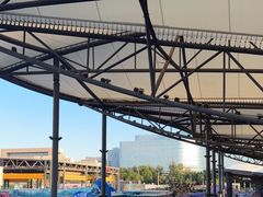 -移动谜城·大笨象密室逃脱(五棵松店)