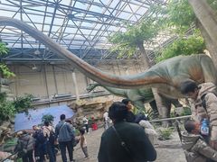 -国家自然博物馆