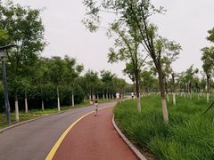 -天津东丽湖风景区