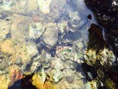 iphone_upload_pic-蓬莱阁景区