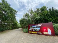 -上海海湾国家森林公园