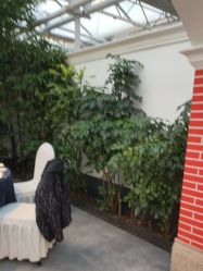 点击看大图 -特味村·宴会厅(生态园店)