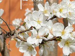 -山东省千佛山医院