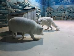 -华夏文旅海洋公园