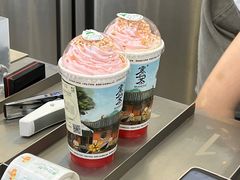 -雾与山茶(大禹城店)