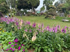 -东莞植物园