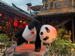 -小龙翻大江文化火锅(宽窄店)