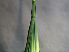 -荷兰布尔玛国际花艺学院
