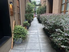 -嘉善老市