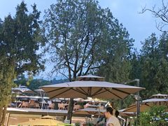 -蘇河湾·新鲁菜·泰山宴(泰山店)