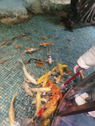 -酷嗒动物文化乐园(cutezoo西溪乐天城店)