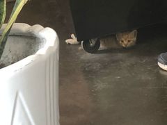 -时光转角咖啡馆(西康路店)