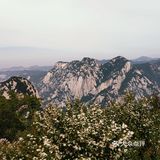 拥有世界第一个W型索道的华山有多险？？