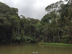-热带雨林自然公园