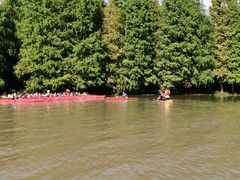 -上海海湾国家森林公园