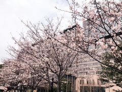 -上海虹桥西郊假日酒店