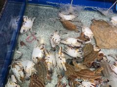 -君瀛四海海鲜自助餐厅(光谷步行街店)