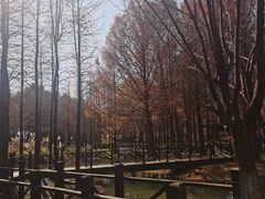 -尚贤河湿地
