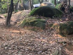 -火炉山森林公园