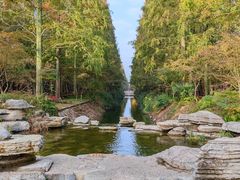 -东平国家森林公园