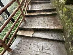 -大金鹰园