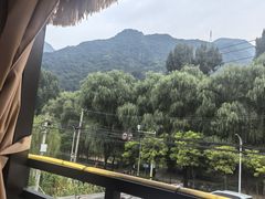 -遇见小院—虹鳟鱼•农家菜(怀柔店)