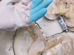 -十八字金·银饰·拼豆·开蚌DIY(魏公芳华里店)