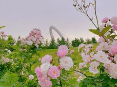-南京眼步行桥