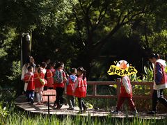 -成都市活水公园