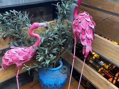 -酤居湖景音乐餐吧(安宁店)