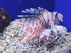 -常州海昌海洋探索馆
