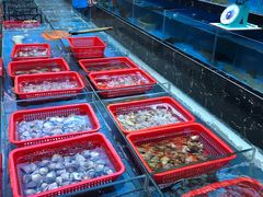 海鲜-油甘埔永新酒楼