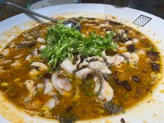 -三天打鱼(奥体店)