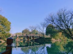 -西溪国家湿地公园